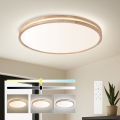 BRILAGI - LED dimeriuojamas lubinis šviestuvas MOLINA LED/100W/230V 3000–6000K ąžuolas, skersmuo 80 cm + nuotolinis valdymas