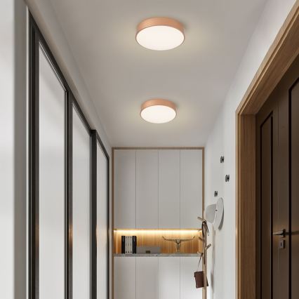 BRILAGI - LED reguliuojamas lubinis šviestuvas POOL LED/36W/230V 3000-6000K pr. 30 cm vario spalvos + su nuotoliniu valdymu