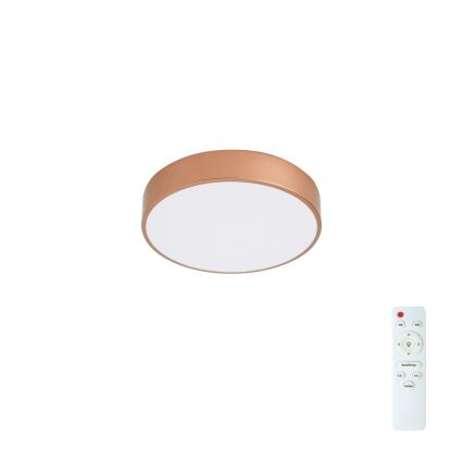 BRILAGI - LED reguliuojamas lubinis šviestuvas POOL LED/36W/230V 3000-6000K pr. 30 cm vario spalvos + su nuotoliniu valdymu