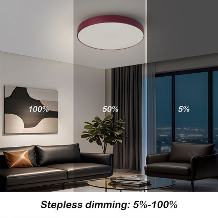 Brilagi - dimeriuojamas LED lubų šviestuvas POOL LED/48W/230V 3000–6000K Ø 40 cm bordo + su nuotoliniu valdymu