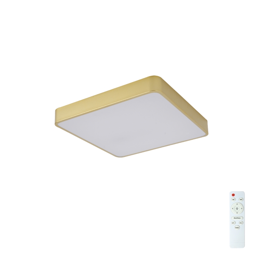 BRILAGI - Dimeriuojamas LED lubinis šviestuvas POOL SQUARE LED/36W/230V 3000-6000K 40x40 cm auksinis + nuotolinis valdymas