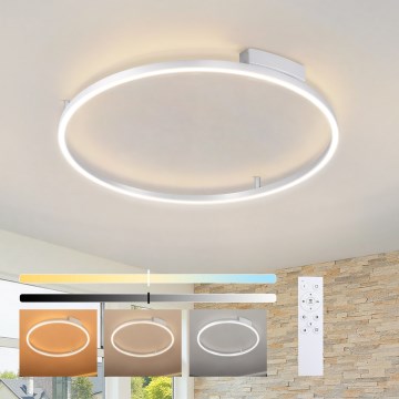 Brilagi - LED dimeriuojamas lubinis šviestuvas PORTOFINO LED/60W/230V 3000-6000K skersmuo 80 cm sidabrinis + nuotolinis valdymas