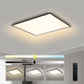Brilagi - LED dimeriuojamas lubinis šviestuvas SLIMFRAME LED/58W/230V 60x60 cm 3000-6000K juodas + su nuotoliniu valdymu