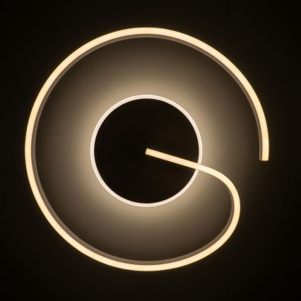 Brilagi - reguliuojamas LED lubų šviestuvas SPIRAL LED/56W/230V skers. 50 cm 3000/4000/6000K + nuotolinis valdymas