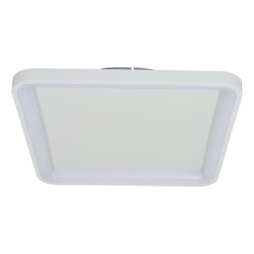 Brilagi - LED dimeriuojamas lubų šviestuvas FALCON SLIM LED/50W/230V 3000-6500K 50x50 cm balta + su nuotoliniu valdymu
