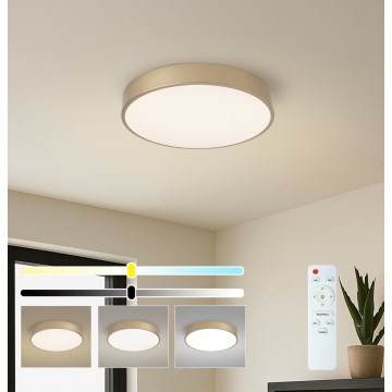BRILAGI - LED dimeriuojamas lubų šviestuvas POOL LED/48W/230V 3000-6000K skersmuo 40 cm auksinis + nuotolinis pultas