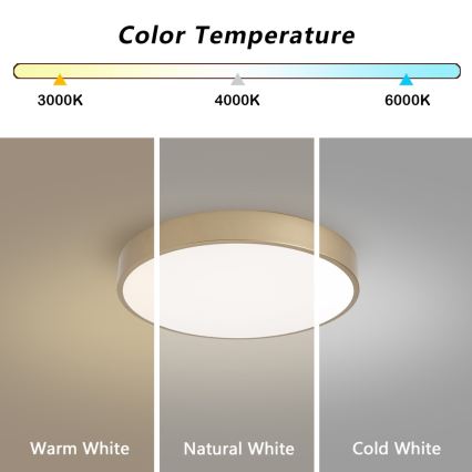 BRILAGI - LED dimeriuojamas lubų šviestuvas POOL LED/48W/230V 3000-6000K skersmuo 40 cm auksinis + nuotolinis pultas
