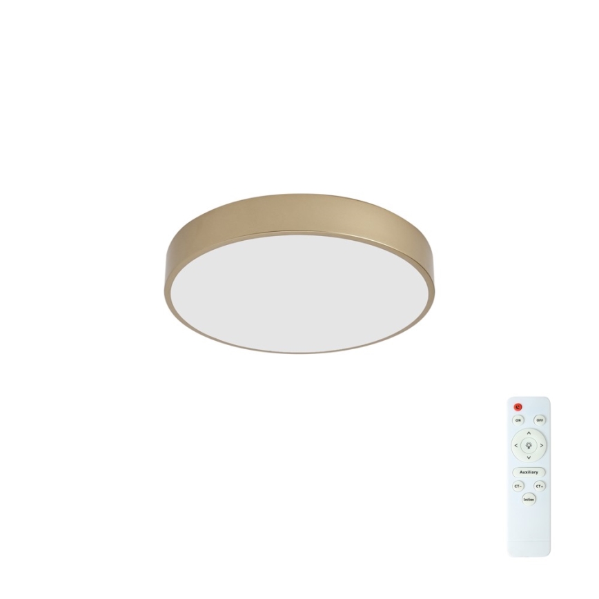 BRILAGI - LED dimeriuojamas lubų šviestuvas POOL LED/48W/230V 3000-6000K skersmuo 40 cm auksinis + nuotolinis pultas