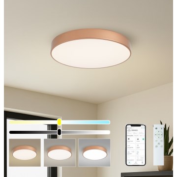 BRILAGI - LED Dimeriuojamas lubų šviestuvas POOL SMART LED/60W/230V 3000-6000K pr. 50 cm Wi-Fi Tuya vario spalvos + nuotolinis valdymas