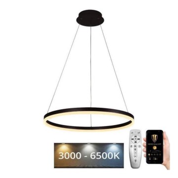 Brilagi - LED dimeriuojamas pakabinamas šviestuvas ant laido CIRCLE LED/42W/230V 3000-6500K skersm. 60 cm + nuotolinis valdymas