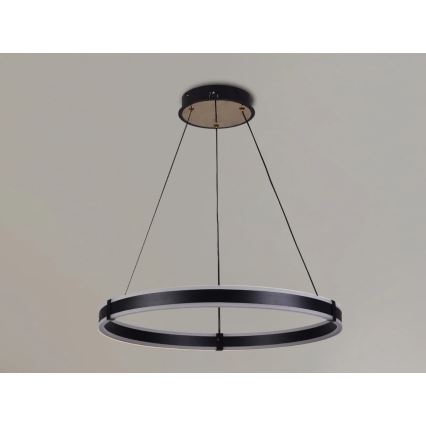 Brilagi - reguliuojamas LED pakabinamas šviestuvas ant troselio CIRCLE LED/85W/230V 3000-6500K Ø 60 cm juoda/auksinė + nuotolinis valdymas