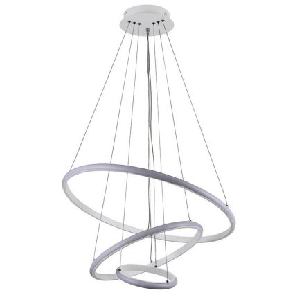 Brilagi - dimeriu reguliuojamas LED pakabinamas šviestuvas ant lyno CIRCLE LED/90W/230V 3000-6500K skersmuo 60 cm + nuotolinis valdymas