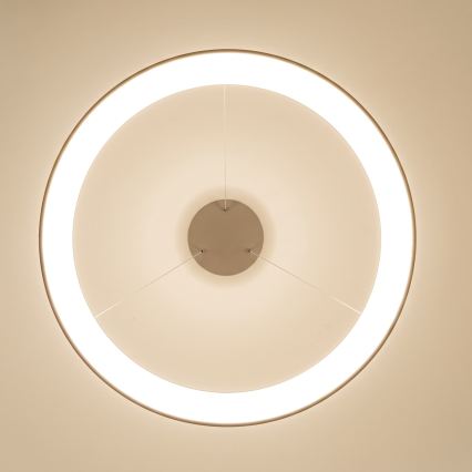 BRILAGI - LED Dimeriu reguliuojamas kabantis šviestuvas ant laido FALCON II LED/108W/230V 3000-6500K skersmuo 80 cm smėlinė + su nuotoliniu valdymu
