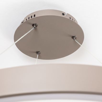BRILAGI - LED Dimeriu reguliuojamas kabantis šviestuvas ant laido FALCON II LED/108W/230V 3000-6500K skersmuo 80 cm smėlinė + su nuotoliniu valdymu