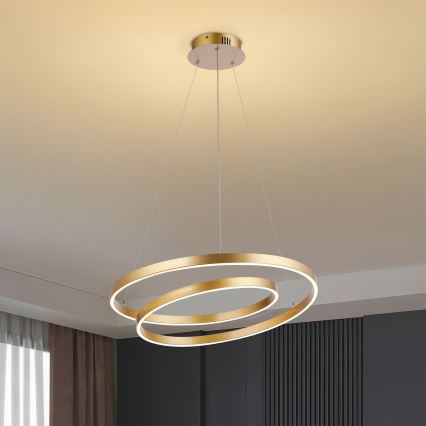 Brilagi - dimeriu reguliuojamas pakabinamas LED šviestuvas ant laido TWISTER LED/48W/230V 3000-6000K skersmuo 50 cm auksinis + nuotolinio valdymo pultas