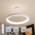 Brilagi - LED dimeriuojamas pakabinamas šviestuvas ant troselio FALCON II LED/108W/230V 3000-6500K skersm. 80 cm balta + su nuotoliniu pulteliu