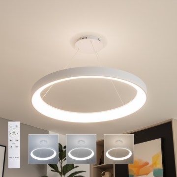 Brilagi - LED dimeriuojamas pakabinamas šviestuvas ant troselio FALCON II LED/108W/230V 3000-6500K skersm. 80 cm balta + su nuotoliniu pulteliu