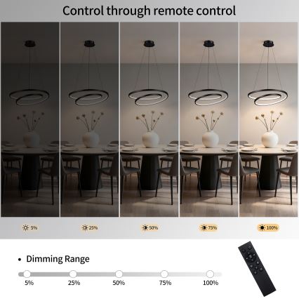 Brilagi - LED dimeriuojamas pakabinamas šviestuvas ant laido TWISTER LED/48W/230V 3000-6000K skersmuo 50 cm juodas + nuotolinis valdymas