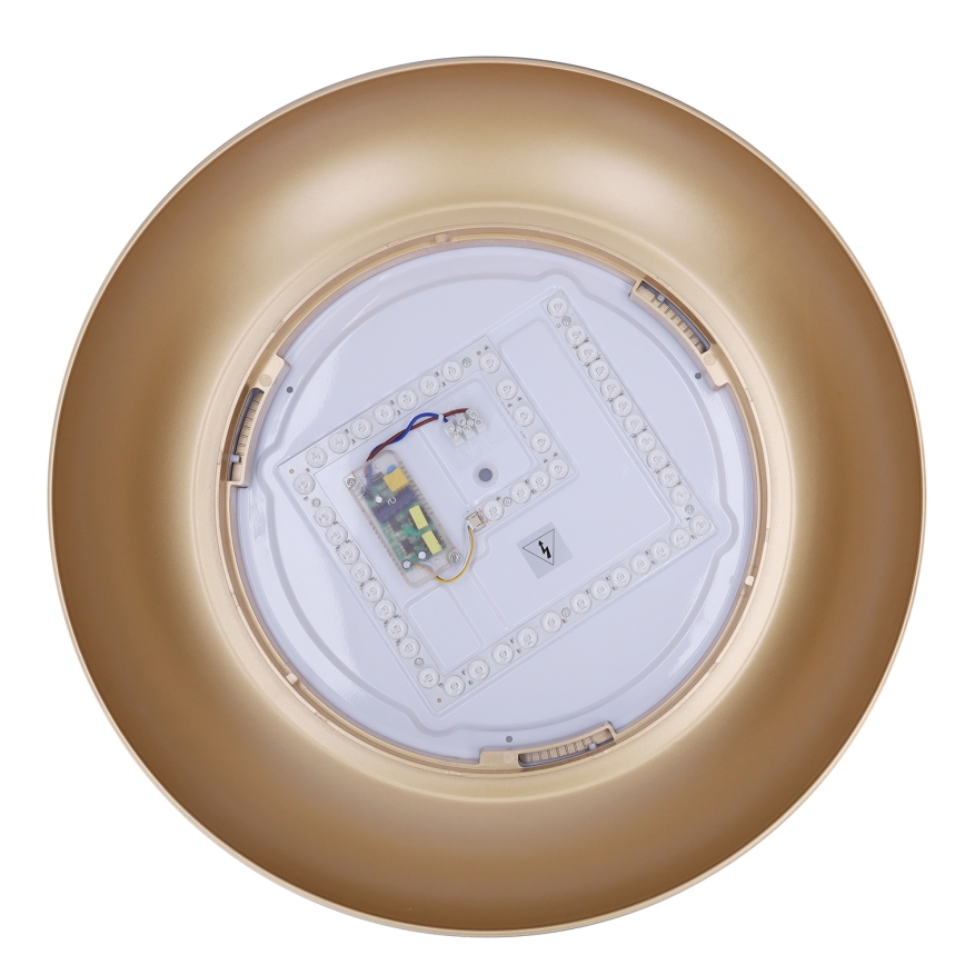 Brilagi - dimeriuojamas LED lubinis šviestuvas ALVA LED/48W/230V 3000-6500K Ø 51 cm juodas + nuotolinis valdymas