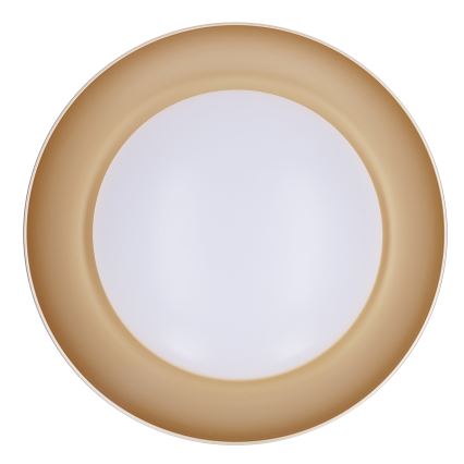 Brilagi - Dimeriuojamas LED lubinis šviestuvas ALVA LED/48W/230V 3000-6500K Ø 51 cm balta + nuotolinis valdymas