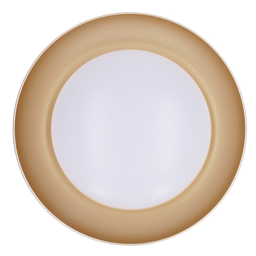 Brilagi - Dimeriuojamas LED lubinis šviestuvas ALVA LED/48W/230V 3000-6500K Ø 51 cm balta + nuotolinis valdymas