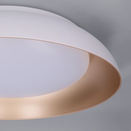 Brilagi - Dimeriuojamas LED lubinis šviestuvas ALVA LED/48W/230V 3000-6500K Ø 51 cm balta + nuotolinis valdymas