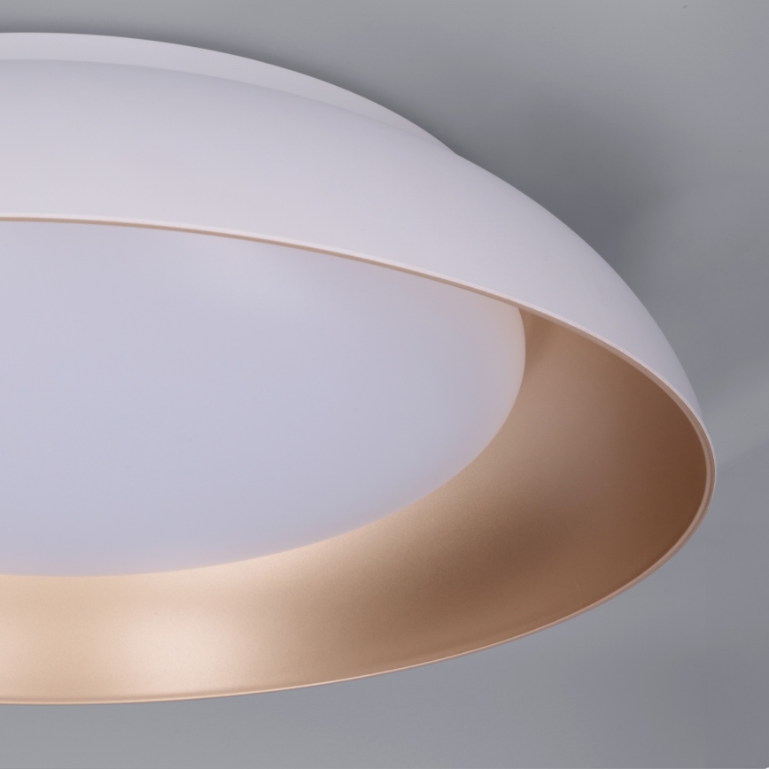 Brilagi - Dimeriuojamas LED lubinis šviestuvas ALVA LED/48W/230V 3000-6500K Ø 51 cm balta + nuotolinis valdymas