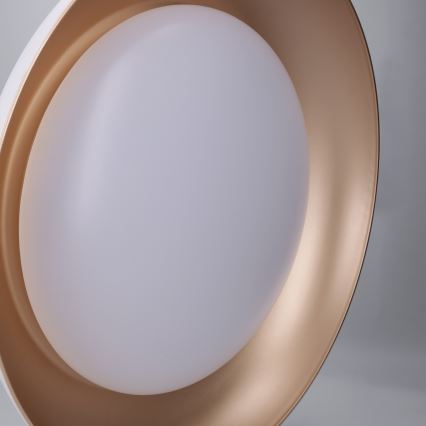 Brilagi - Dimeriuojamas LED lubinis šviestuvas ALVA LED/48W/230V 3000-6500K Ø 51 cm balta + nuotolinis valdymas