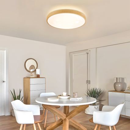 Brilagi - reguliuojamas LED lubų šviestuvas GLASS POOL DOUBLE LED/60W/230V 3000-6000K 50 cm medžio dekoras + nuotolinis valdymas