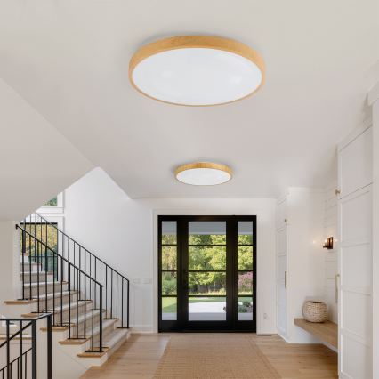 Brilagi - LED reguliuojamas lubų šviestuvas GLASS POOL DOUBLE LED/80W/230V 3000-6000K 60 cm medžio dekoras + nuotolinis valdymas