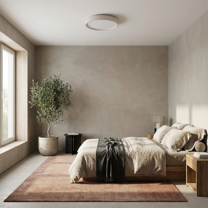 Brilagi - Dimeriuojamas LED lubinis šviestuvas NANCI LED/60W/230V 3000-6500K skersmuo 49 cm baltas + nuotolinis valdymas