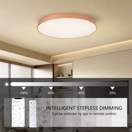 BRILAGI - LED Dimeriuojamas lubinis šviestuvas POOL SMART LED/100W/230V 3000-6000K skersmuo 80 cm Wi-Fi Tuya varinis + nuotolinis valdymas