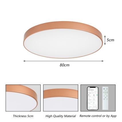 BRILAGI - LED Dimeriuojamas lubinis šviestuvas POOL SMART LED/100W/230V 3000-6000K skersmuo 80 cm Wi-Fi Tuya varinis + nuotolinis valdymas
