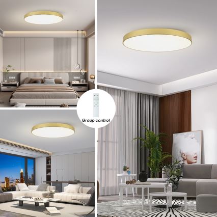 Brilagi - dimeriuojamas LED lubų šviestuvas POOL SMART LED/128W/230V 3000-6000K 100 cm auksinis Wi-Fi Tuya + nuotolinis valdymas