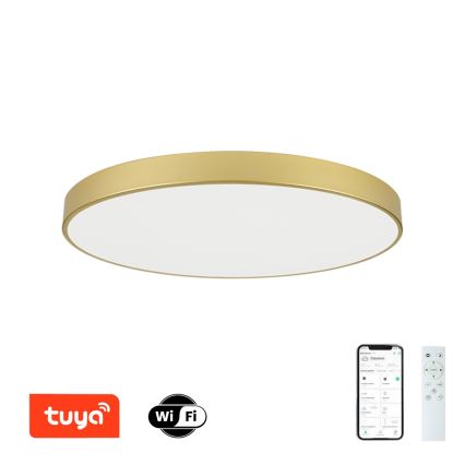 Brilagi - dimeriuojamas LED lubų šviestuvas POOL SMART LED/128W/230V 3000-6000K 100 cm auksinis Wi-Fi Tuya + nuotolinis valdymas