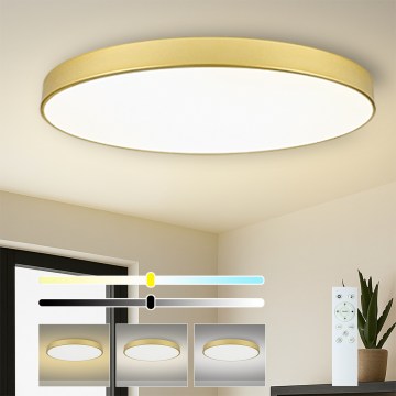 Brilagi -LED dimeriuojamas šviestuvas POOL SMART LED/180W/230V 120 cm auksinis Wi-Fi Tuya+nuotolinis pultas