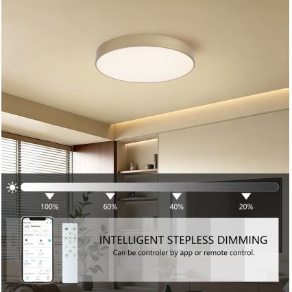 BRILAGI - LED reguliuojamo ryškumo lubinis šviestuvas POOL SMART LED/60W/230V 3000-6000K skersmuo 50 cm Wi-Fi Tuya auksinis + nuotolinis valdymas