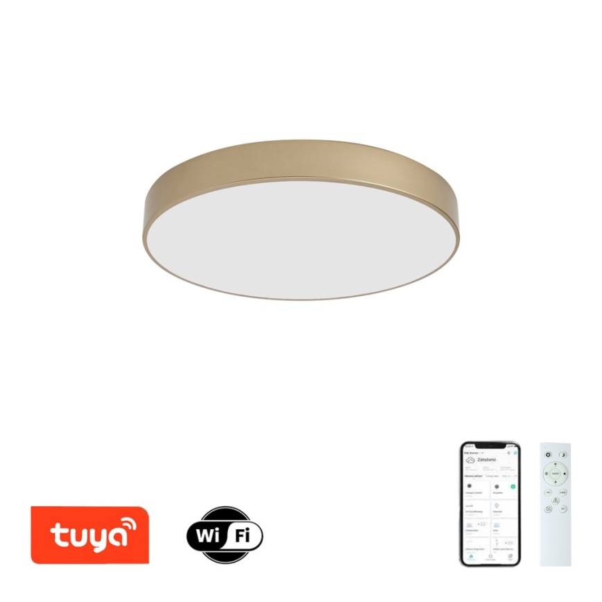 BRILAGI - LED reguliuojamo ryškumo lubinis šviestuvas POOL SMART LED/60W/230V 3000-6000K skersmuo 50 cm Wi-Fi Tuya auksinis + nuotolinis valdymas