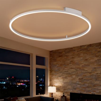Brilagi - Dimeriuojamas LED lubų šviestuvas PORTOFINO LED/85W/230V 3000–6000K, skersmuo 120 cm, sidabro spalvos + nuotolinis valdymas