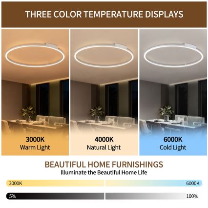 Brilagi - Dimeriuojamas LED lubų šviestuvas PORTOFINO LED/85W/230V 3000–6000K, skersmuo 120 cm, sidabro spalvos + nuotolinis valdymas