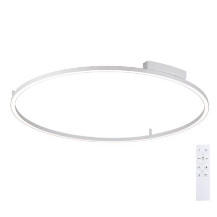 Brilagi - Dimeriuojamas LED lubų šviestuvas PORTOFINO LED/85W/230V 3000–6000K, skersmuo 120 cm, sidabro spalvos + nuotolinis valdymas