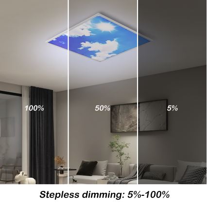 Brilagi - LED pritemdomas lubų šviestuvas SLIMFRAME SKY LED/58W/230V 60x60 cm 3000-6000K sidabrinis/mėlynas + nuotolinis valdymas