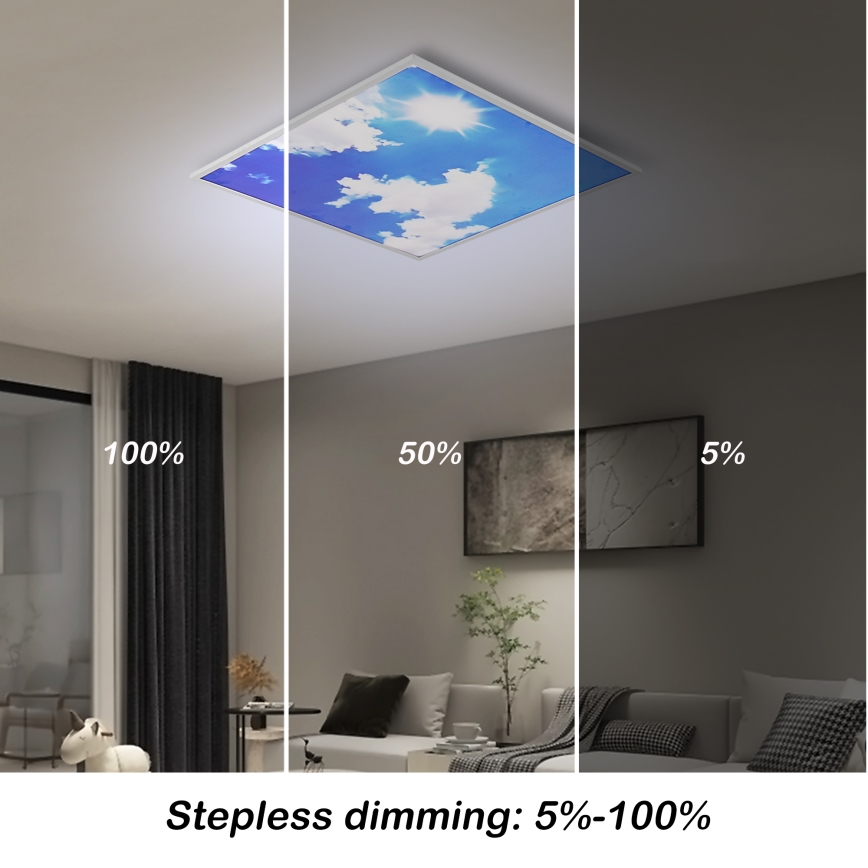 Brilagi - LED pritemdomas lubų šviestuvas SLIMFRAME SKY LED/58W/230V 60x60 cm 3000-6000K sidabrinis/mėlynas + nuotolinis valdymas