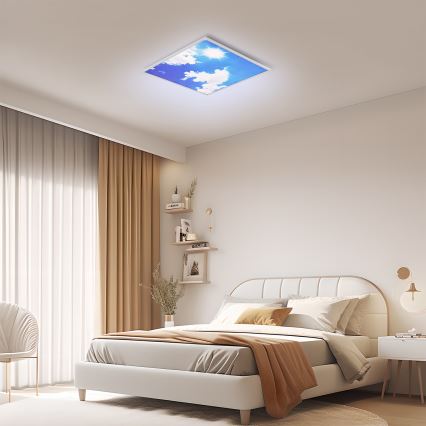 Brilagi - LED pritemdomas lubų šviestuvas SLIMFRAME SKY LED/58W/230V 60x60 cm 3000-6000K sidabrinis/mėlynas + nuotolinis valdymas