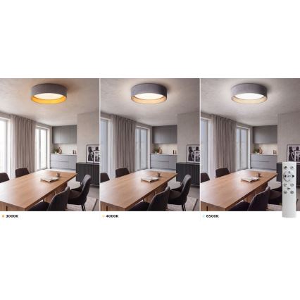 BRILAGI - LED dimeriu reguliuojamas lubinis šviestuvas VELVET SMART VARI LED/24W/230V 3000–6500K Ø 45 cm pilkas/auksinis + nuotolinis valdymas