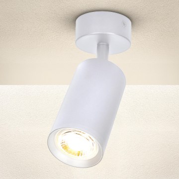 Brilagi - LED dimeriuojamas taškinis šviestuvas SELE 1xGU10/6,5W/230V 2700-6500K baltas