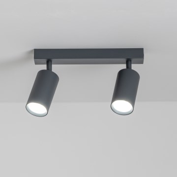 Brilagi - LED dimeriuojamas taškinis šviestuvas SELE 2xGU10/6,5W/230V 2700-6500K antracitas