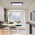 Brilagi - LED Dimmable lubinis šviestuvas FRAME SMART LED/30W/230V 30x60 cm 3000-6000K IP44 juodas + nuotolinio valdymo pultas