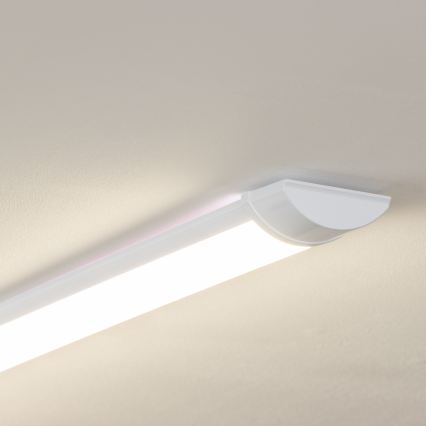 Brilagi - LED fluorescencinis šviestuvas LUMA LED/32W/230V 120 cm