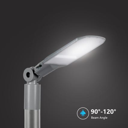 Brilagi - LED gatvės šviestuvas URBANLIGHT LED/100W/230V pilkas IP65
